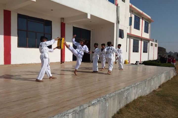Katar Singh Memorial Public School-Taekwondo