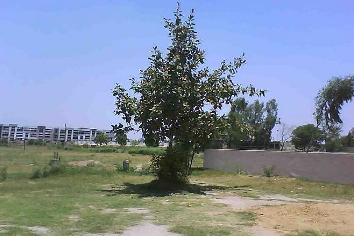 Kendriya Vidyalaya-Campus Outside View