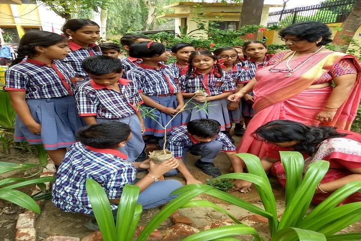 Kendriya Vidyalaya No 2-Plantation