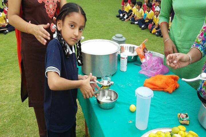 Kohinoor International Academy-Others