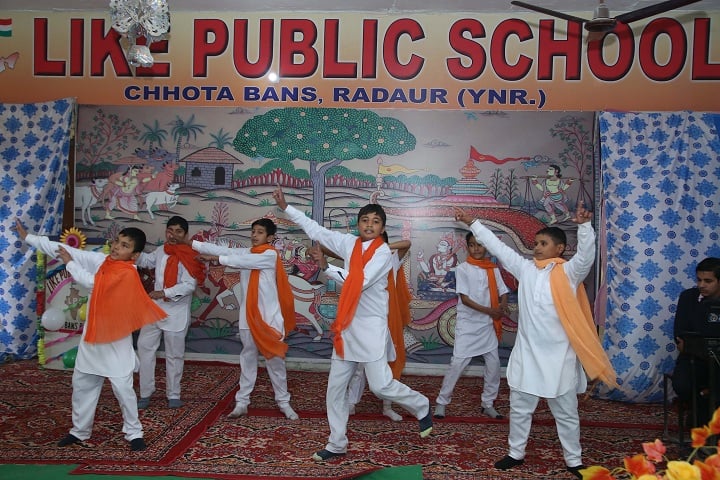 Like Senior Secondary Public School-Annual Day
