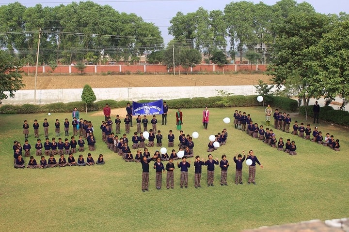 MSD Springbells Public School-Ground