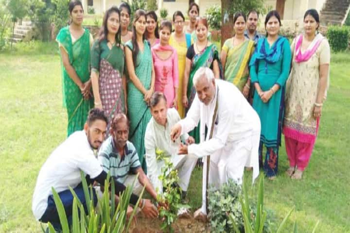 Maharishi Vidya Mandir Public School-Plantations