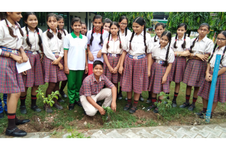 Major R.N Kapoor Dav Public Senior Secondary School- Tree Plantation