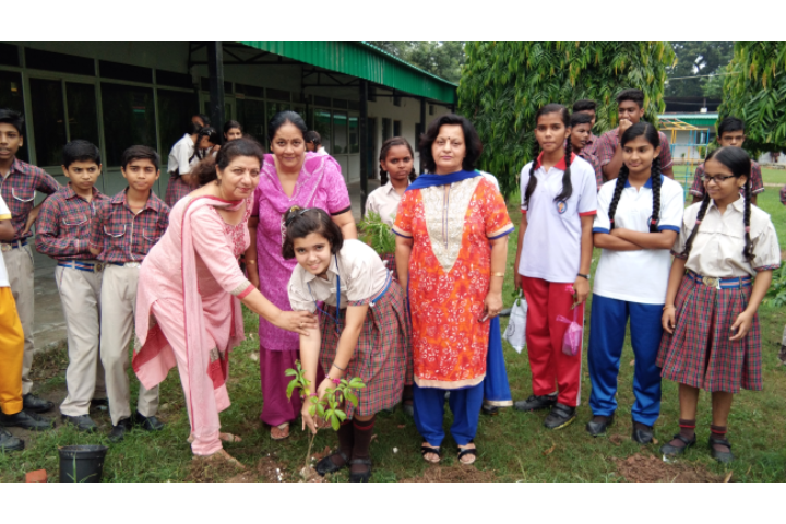Major R.N Kapoor Dav Public Senior Secondary School- Tree Plantation