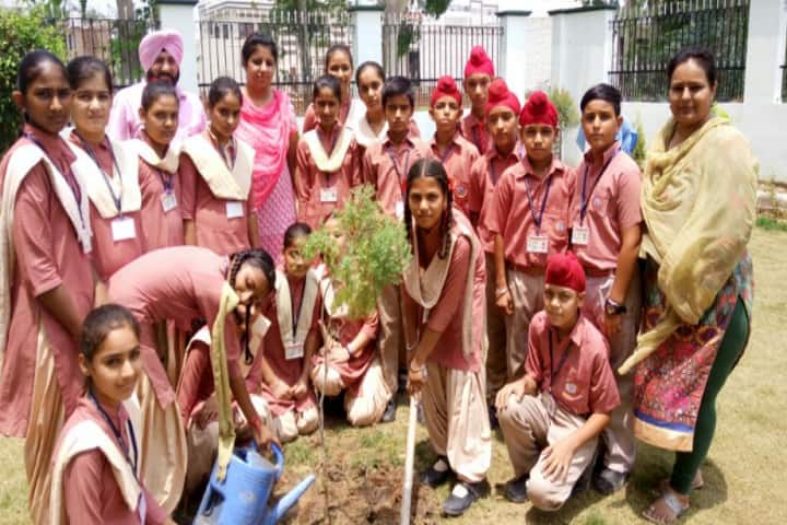 Mata Gujri High School-Tree Plantation