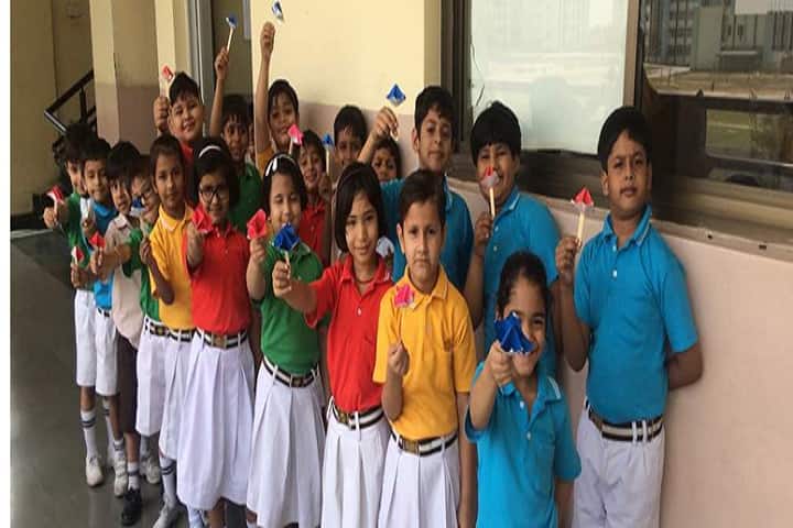 Modern Vidya Niketan School-Activity