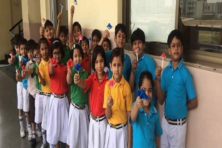 Modern Vidya Niketan School-Activity