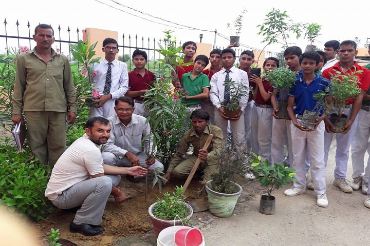 Mother India Senior Secondary School-Activity