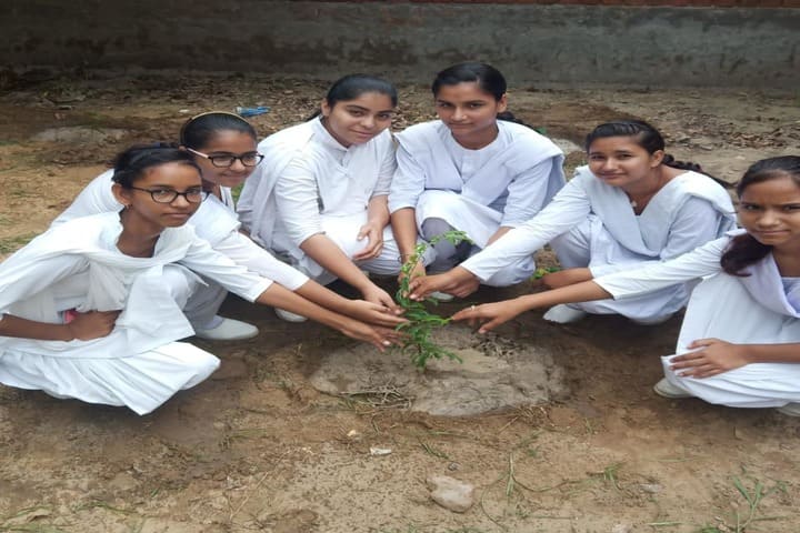 Nachiketan Model Senior Secondary School-World Environment Day