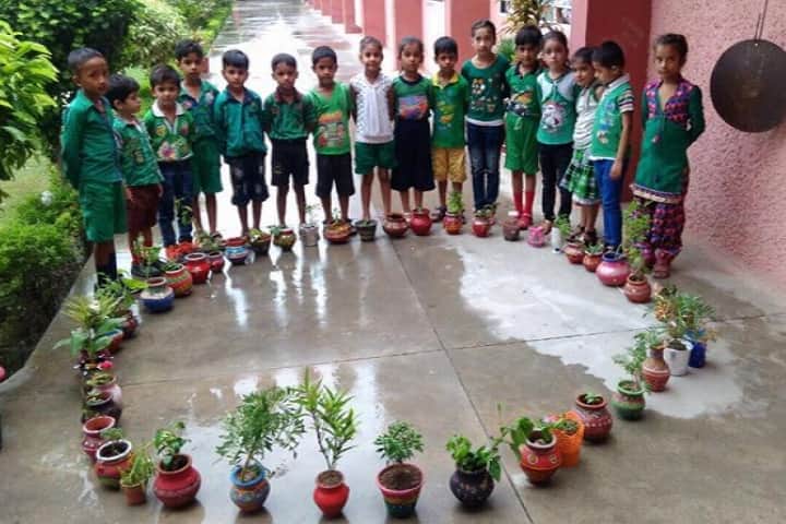 Nirmal Public School-Tree Plantation