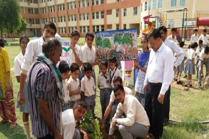 Northern International School-Tree Plantation
