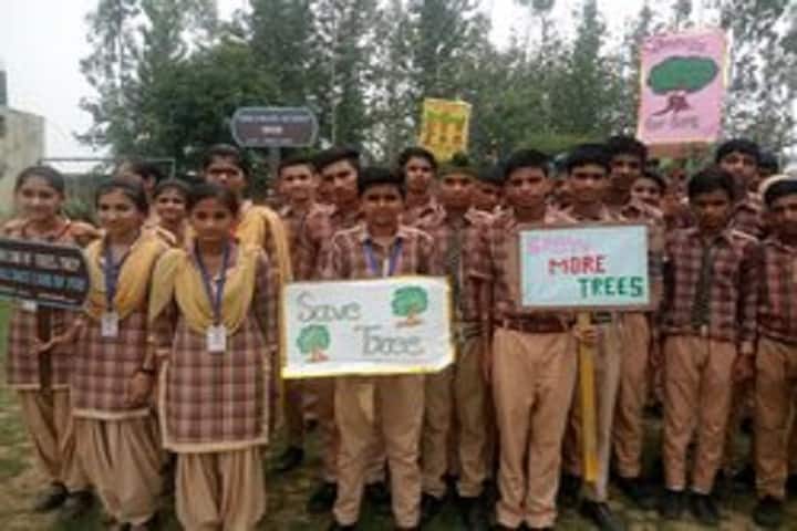 Om Parkash Garg Memorial Public School-Save Tree