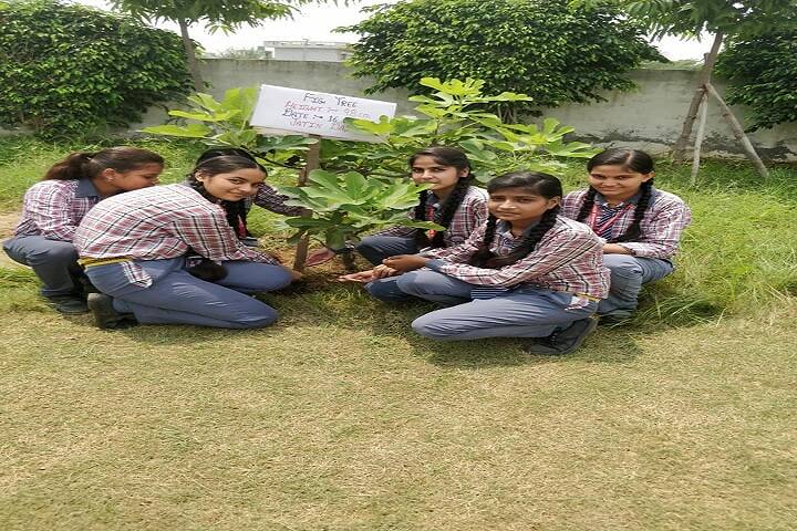 Paramhansa Senior Secondary School-Tree Plantation