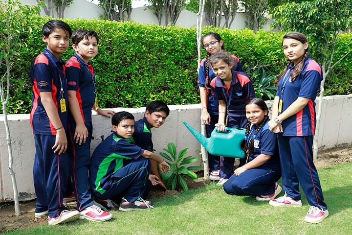 Rawal International School-Plantation Activity