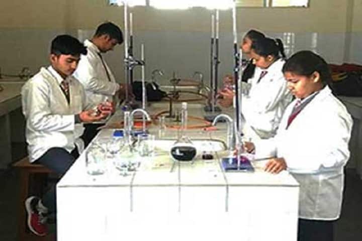 Red Roses Public School-Chemistry lab