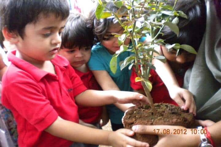 Ryan International School-Tree Plantation