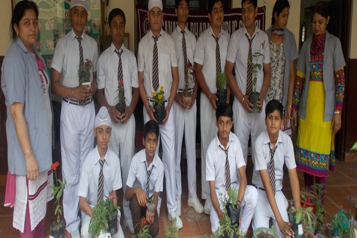S D Public School-Tree Planting