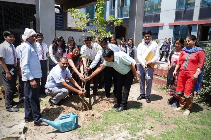 S D Public School-Planting Tree