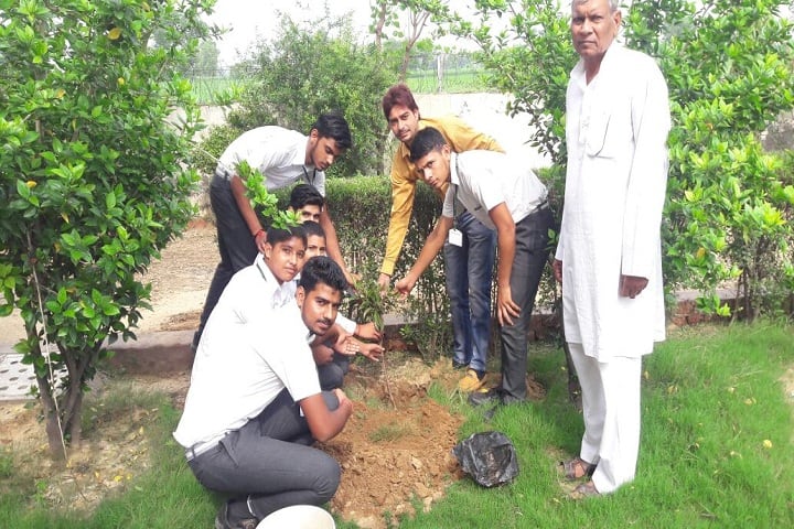 S D Public School-Tree Palntation