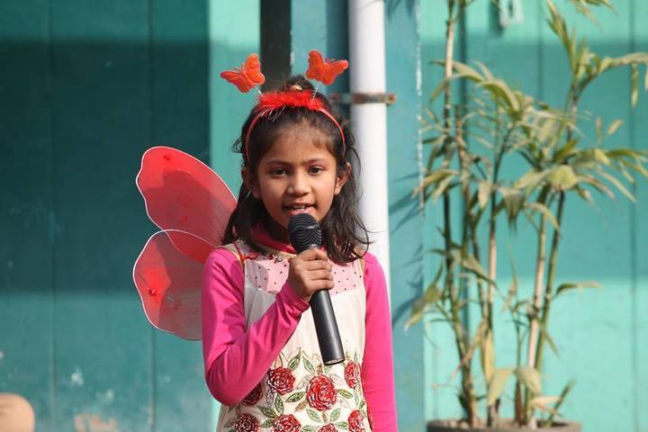 Sanadan Vidya Niketan Public School-Fancy Dress Competition