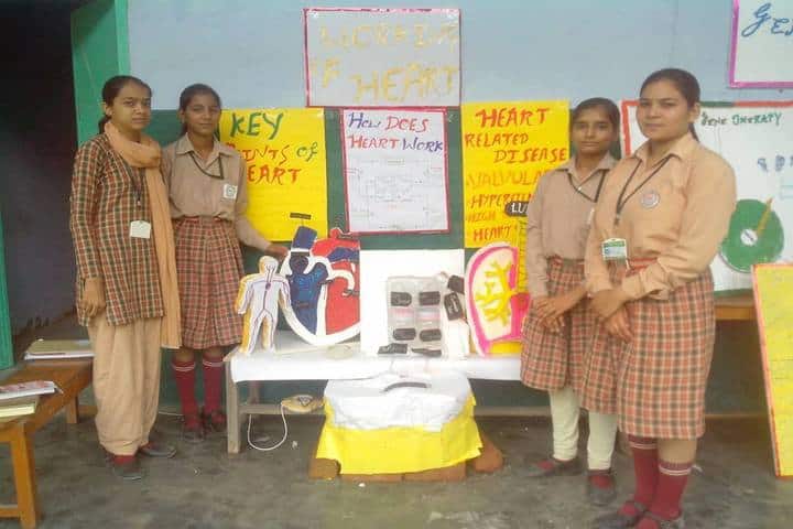 Sanadan Vidya Niketan Public School-Science Exhibition