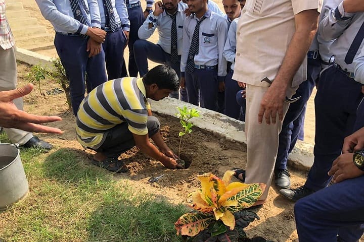 Sanskar Senior Secondary School-Plant A Tree Programme