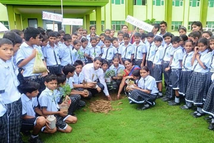 Sanskriti Convent School-Tree Plantation Day