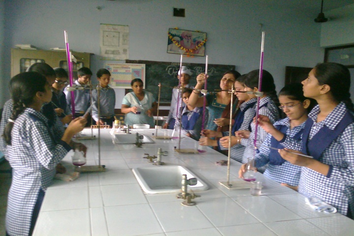 Sant Nikka Singh Public School-Chemistry Lab