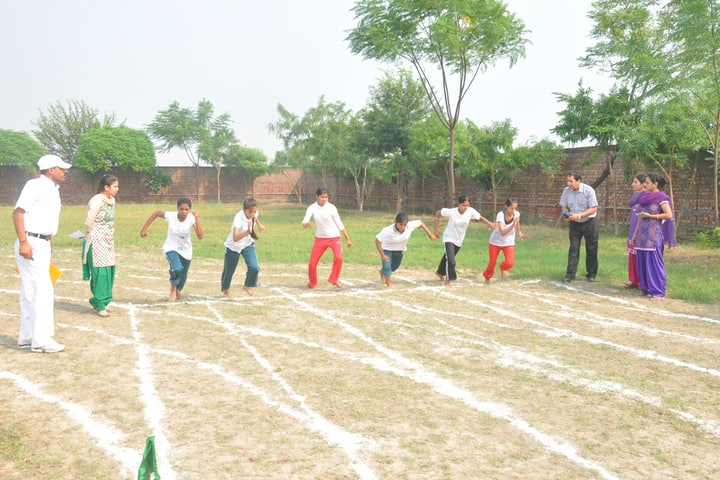 Sant Nikka Singh Public School-Play Ground