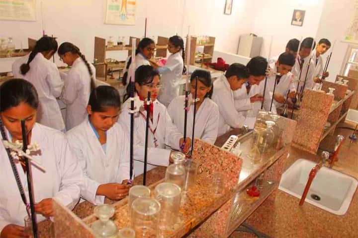 Sant Nischal Singh Public School-Chemistry Lab
