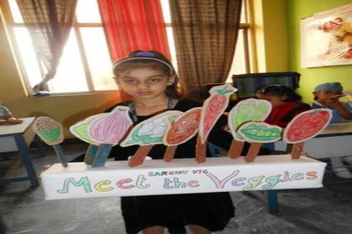 Sant Nischal Singh Public School-Activity