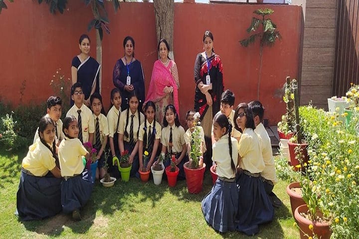 Sawan Public School-Plantation