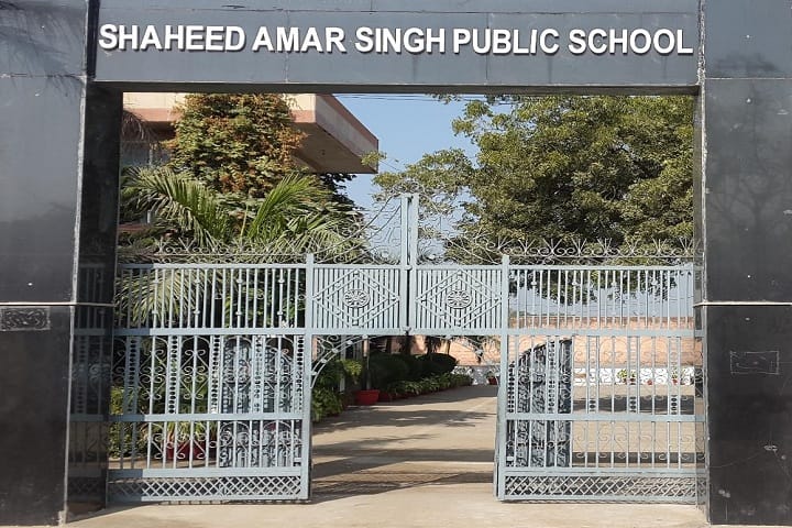 Shaheed Amar Singh Public School-School Entrance