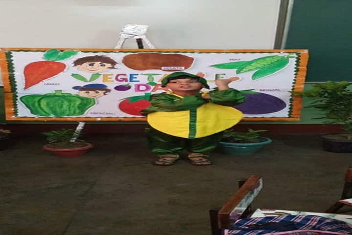 Shri Baba Mastnath Senior Secondary Residential Public School-Vegetable Day