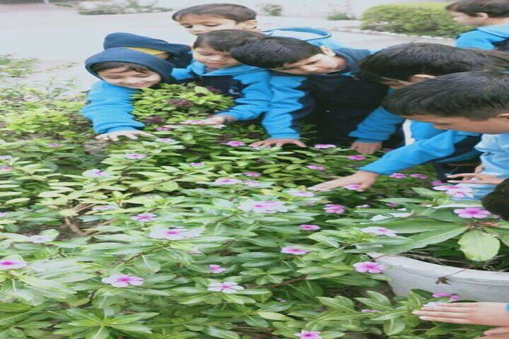 South Point World School-Kids