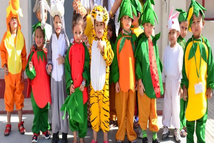 St P B N Public School-fancy dress