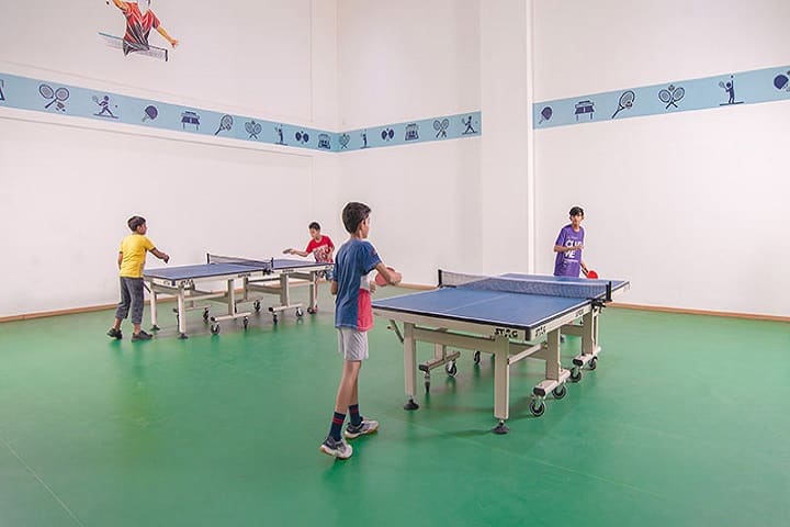 Sunshine Public School-Indoor Games