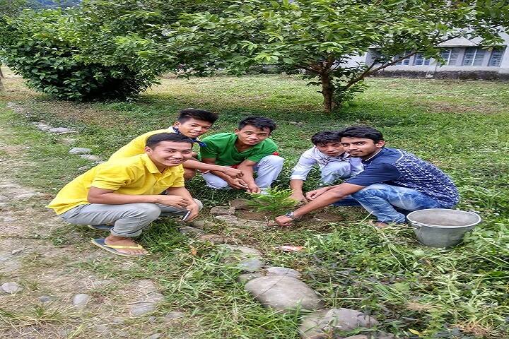 Jawahar Navodaya Vidyalaya-Others plantation