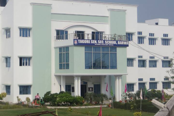 Tagore Senior Secondary School-Campus-View