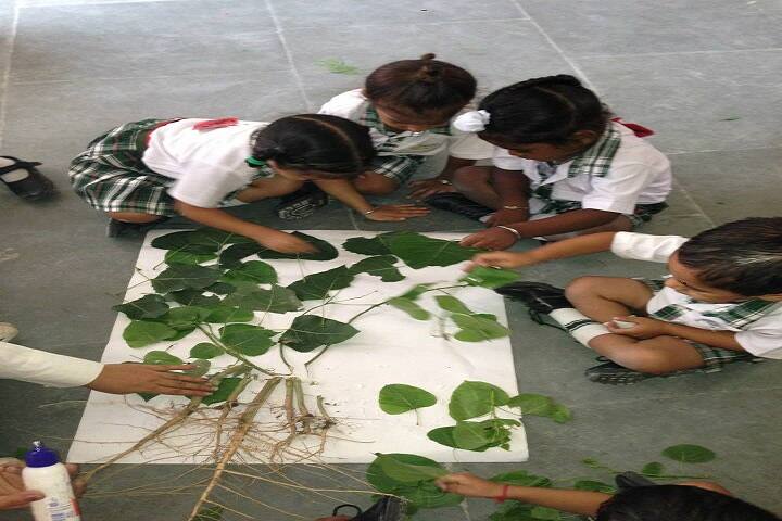 The Olive School - Activity