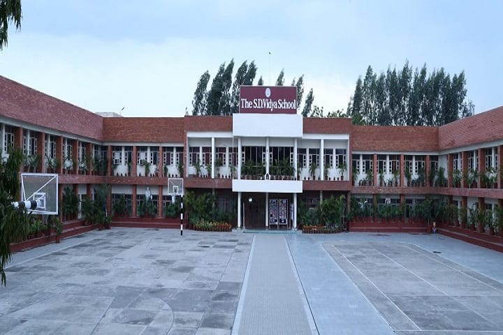 The S D Vidya School-Campus-view