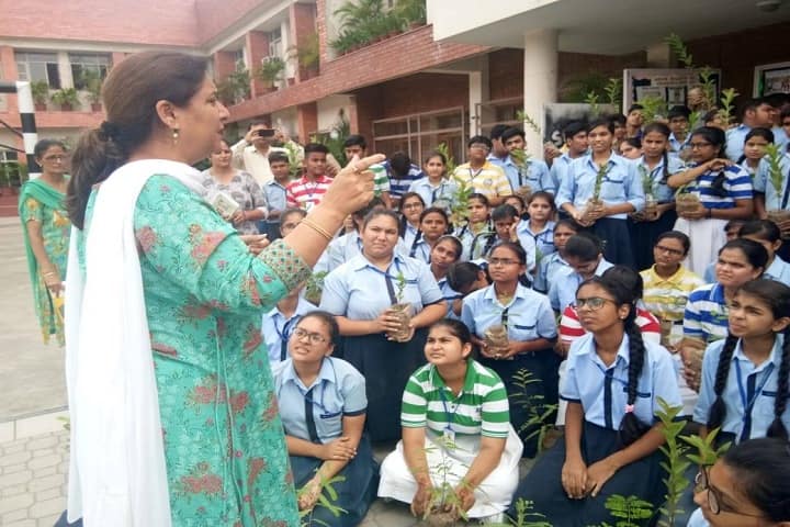 The S D Vidya School - Tree Plantation