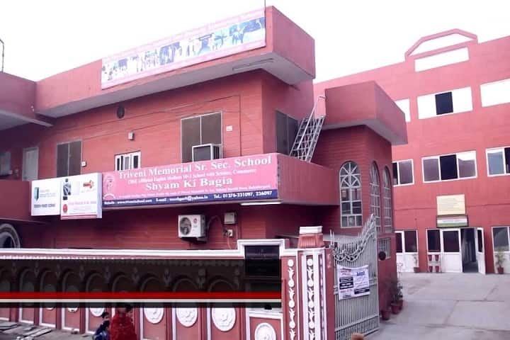 Triveni Memorial Senior Secondary School-Campus view