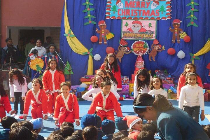 Triveni Memorial Senior Secondary School-Christmas day