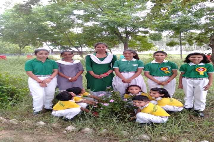 Vidhya Bharti Day Boarding Public School-Tree Plant