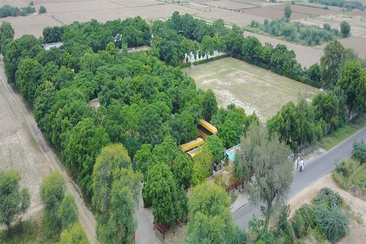 Vidyantriksh Senior Secondary School-Campus view