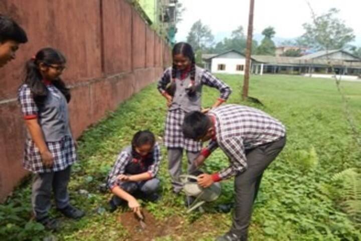 Kendriya Vidyalaya-Plantation