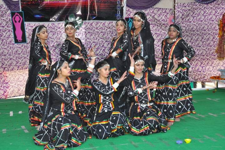 Wellwisher Public Senior Secondary School-Cultural Fest