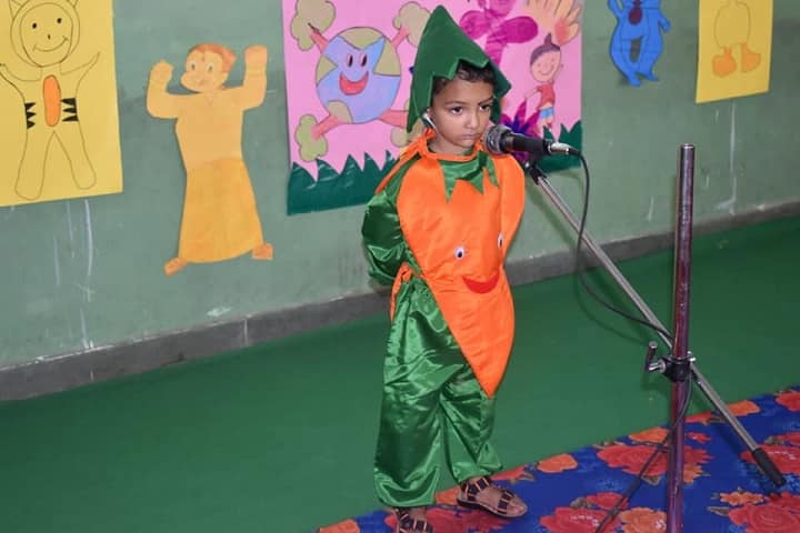DAV Ambuja Vidya Niketan Public School-Fancy Dress